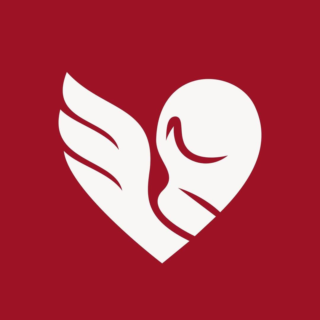 Logo Fundacji Komandosi Życia